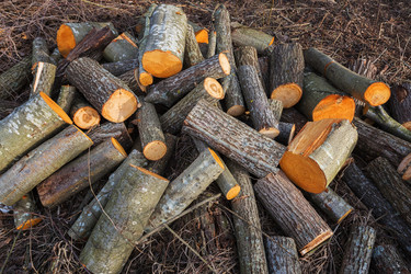 Similar image 7569581