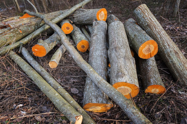 Similar image 7569582