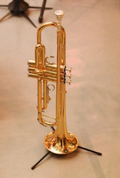 Similar image 7569584