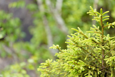 Similar image 7569598