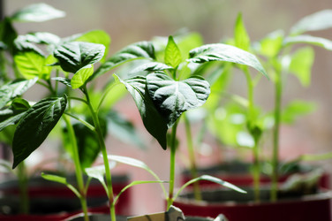 Similar image 7569604