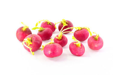 Similar image 7569628