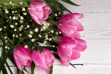 Similar image 7569752