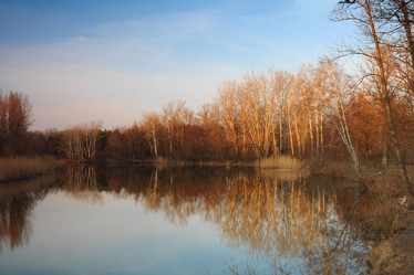 Similar image 7569783