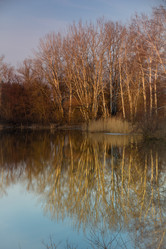 Similar image 7569798