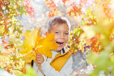 Similar image 7569851