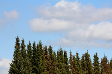 Similar image 7570434