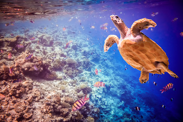 Similar image 7570739