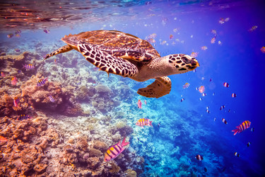 Similar image 7570761