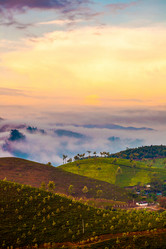 Similar image 7570803