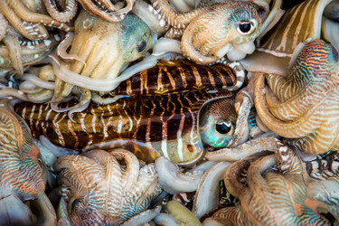 Similar image 7570805