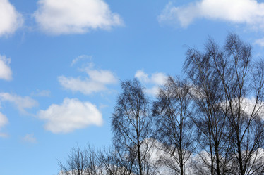 Similar image 7571165