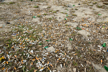 Similar image 7571204