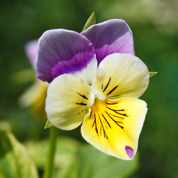 Similar image 7571356