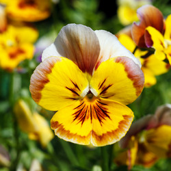 Similar image 7571377