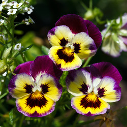 Similar image 7571401