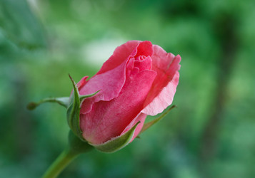 Similar image 7571421