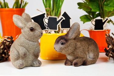 Similar image 7571422