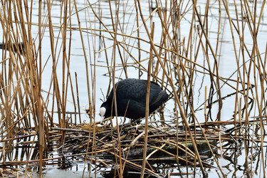 Similar image 7571543