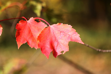 Similar image 7571620