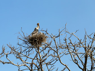 Similar image 7571629