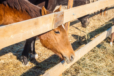 Similar image 7571685