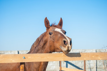 Similar image 7571687