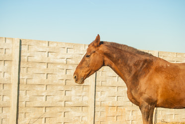 Similar image 7571689