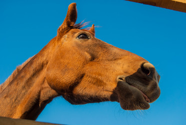 Similar image 7571692