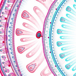 Similar image 7571695