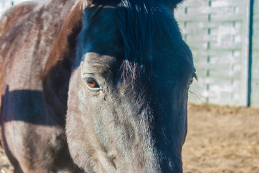 Similar image 7571713