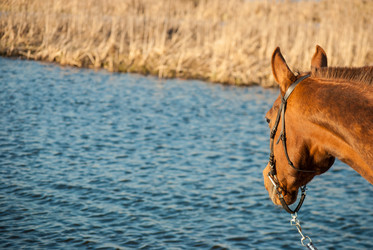 Similar image 7571717