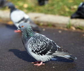 Similar image 7571769