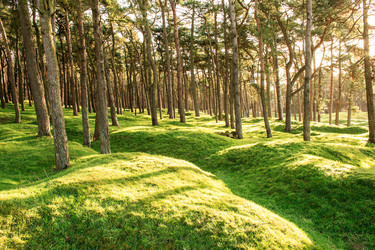 Similar image 7571929