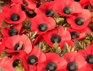 Similar image 7571977