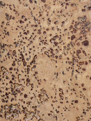 Similar image 7572200