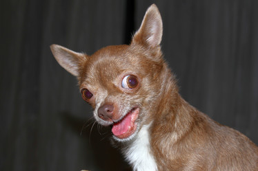 Similar image 7572209