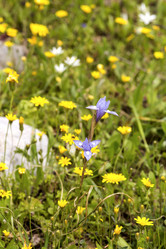 Similar image 7572259