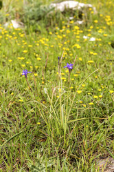 Similar image 7572260