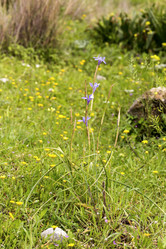 Similar image 7572261