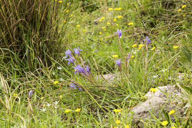 Similar image 7572262