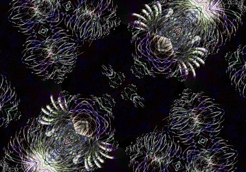 Similar image 7572636