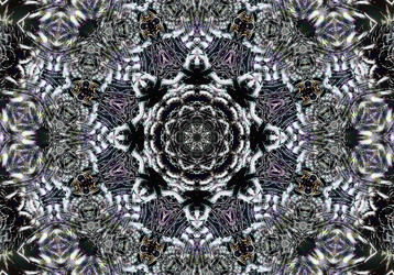 Similar image 7572638