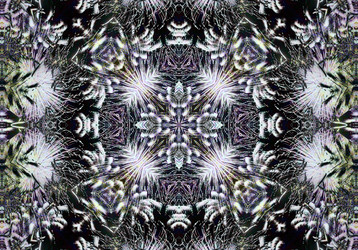 Similar image 7572641