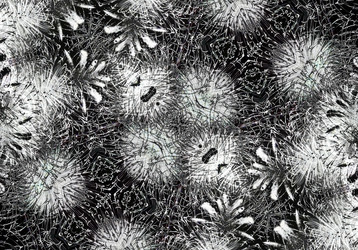 Similar image 7572656