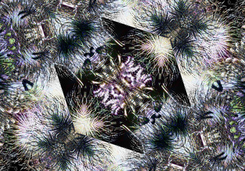 Similar image 7572857