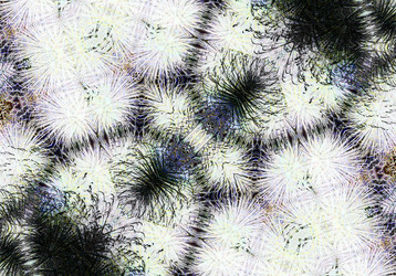 Similar image 7572868