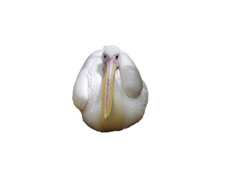 Similar image 7572947