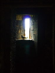 Similar image 7572985