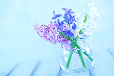 Similar image 7573332